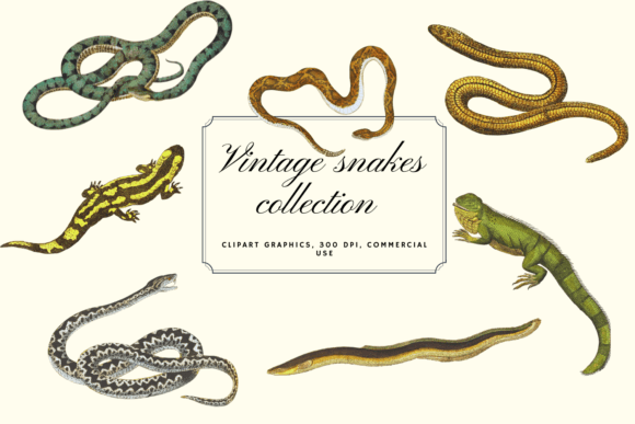 Timeless Reptilian Charm: The Vintage Snakes & Lizards Collection